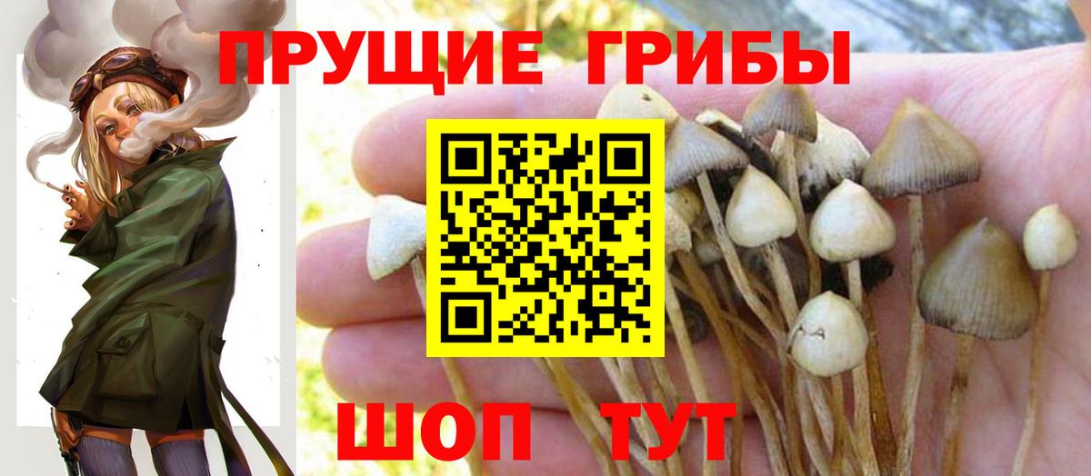 Галлюциногенные грибы Magic Shrooms Магнитогорск